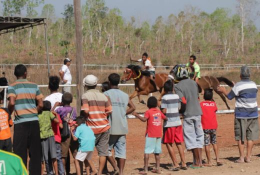 Adrenalin Besar Pacuan Kuda Tradisional Kefamenanu - GenPI.co