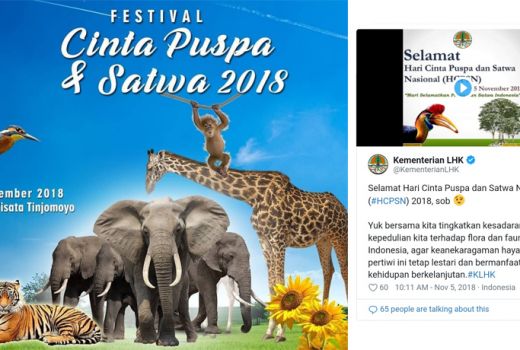 Merayakan Pesona Flora dan Fauna - GenPI.co