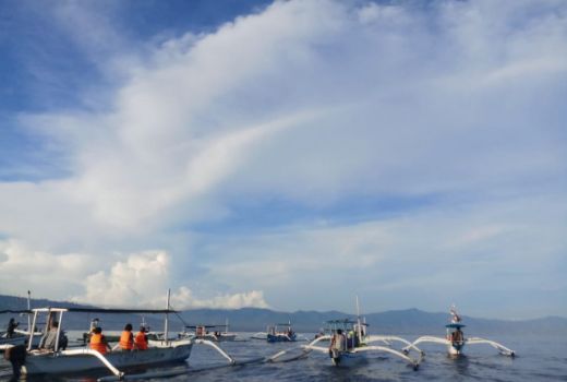 Menikmati Atraksi Lumba-lumba di Pantai Lovina - GenPI.co