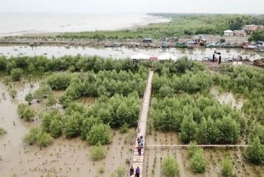 Karawang Akan Bangun Ekowisata Mangrove dan Terumbu Karang - GenPI.co