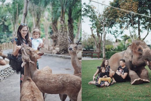 Ringgo Agus Rahman Suka Bali Zoo, ini Alasannya - GenPI.co