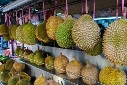 Ke Sini Jika Ingin Makan Durian Sampai Puas - GenPI.co