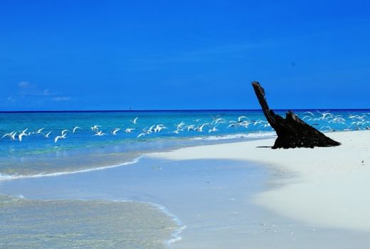 Mengenang Ganasnya Tsunami Aceh di Pulau Baguk Aceh - GenPI.co