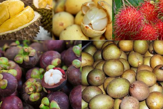 Ingat-ingat Musim Buah Nusantara - GenPI.co
