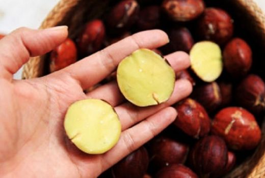 Bebas Kanker dengan Jengkol - GenPI.co