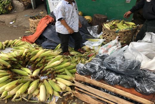 Pedagang Arang Panen Rezeki di Malam Tahun Baru - GenPI.co