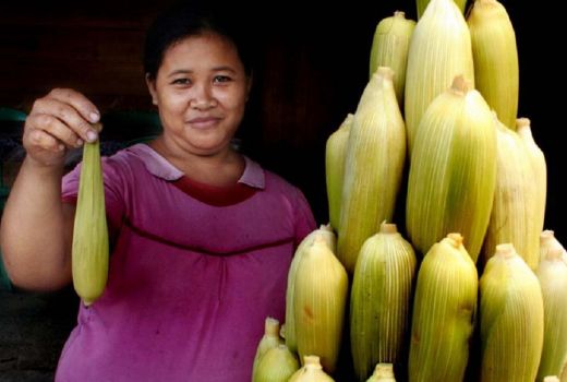 Gurihnya Milu Pulo Gorontalo - GenPI.co