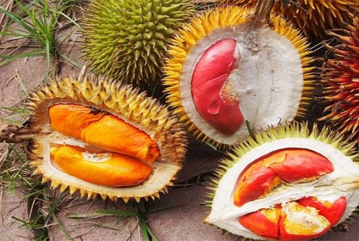 Buah Durian Ternyata Ada Warna Merah - GenPI.co