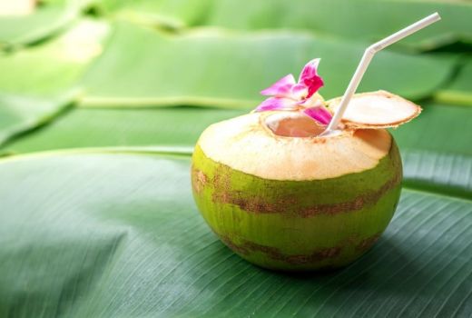 Khasiat Minum Air Kelapa dari Batoknya - GenPI.co