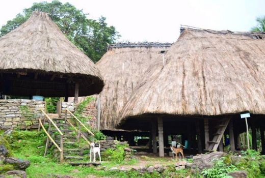 Melihat Rumah Raja Desa Adat di NTT - GenPI.co