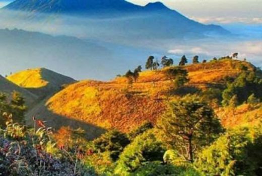 Pendakian Gunung Prau Ditutup 3 Bulan Untuk Reboisasi - GenPI.co