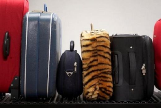 Tips Packing Kurangi Berat Bagasi saat Travelling - GenPI.co