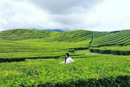 Yuk, Traveling Cantik di Dataran Tinggi Pegunungan Kerinci, Dijamin Nggak Nyesel... - GenPI.co