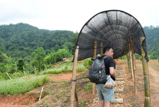Wisata Tanjung Harapan:Destinasi Baru di Tanggamus, Lampung - GenPI.co
