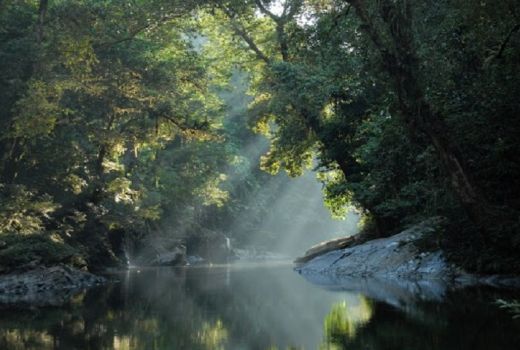 Yuk Berpetualang Menikmati Pesona Keindahan di Taman Nasional Betung Kerihun! - GenPI.co