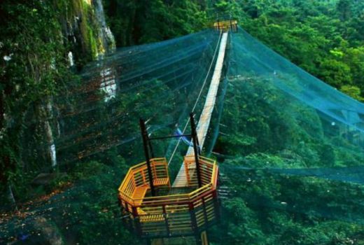 Wow, Kerajaan Kupu-Kupu Ada di Indonesia - GenPI.co