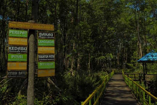 Ini 3 Destinasi Wisata Top di Riau - GenPI.co
