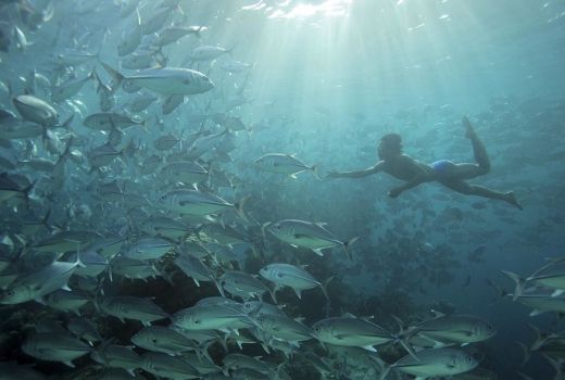 Suku Bajau, Aquaman dari Indonesia - GenPI.co