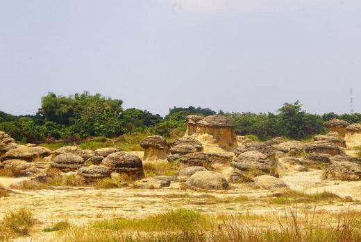 Wisata Unik Bukit Jamur di Gresik - GenPI.co