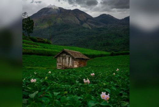 Pesona Lereng Gunung Welirang, Hamparan Hijau Bak Swiss - GenPI.co