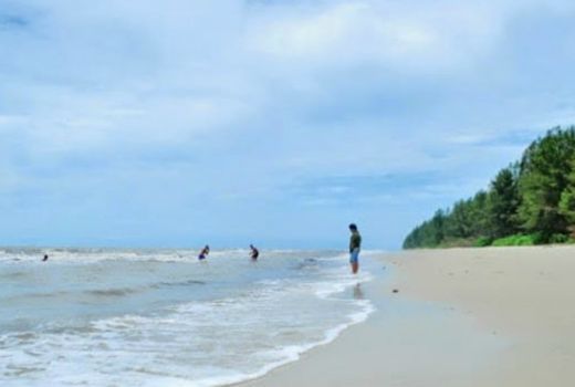 Yuk, Menelusuri Agrowisata Penghasil Kelapa Terbesar di Riau - GenPI.co
