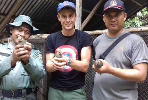 Maleo Menjadi Daya Tarik Wisatawan Mancanegara Datang Ke Gorontalo - GenPI.co