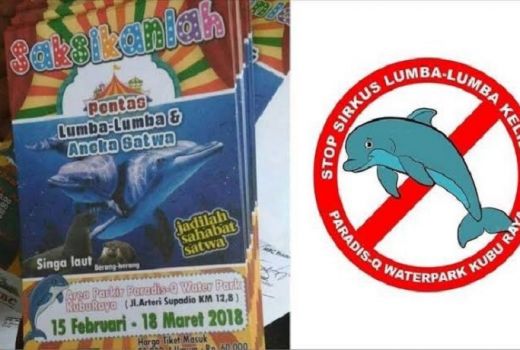 Stop Eksploitasi Binatang Jadi Tontonan Warga - GenPI.co