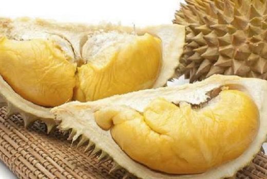 Benarkah, Durian Dapat Mencegah Kulit Keriput - GenPI.co