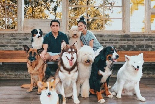 Rumah Guguk yang Instagramable di Bandung - GenPI.co