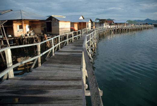 Pariwisata Hidupkan Ekonomi Ojek Laut Torosiaje - GenPI.co