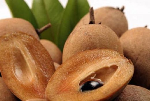 Ini Manfaat dari Buah Sawo - GenPI.co
