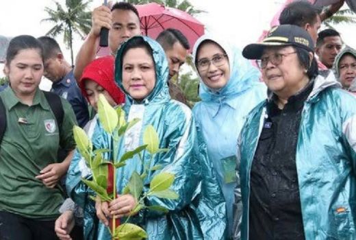 Iriana Jokowi Cetuskan Gerakan Tanam Mangrove, Ternyata Ini Manfaatnya - GenPI.co