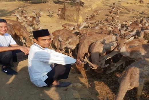 Ustadz Abdul Somad ke Penangkaran Rusa, Cek 3 Destinasi Langkat Lainnya - GenPI.co