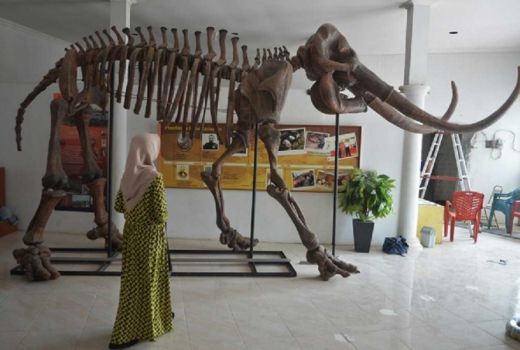 Lahan jadi Kendala Pengembangan Museum Patiayam - GenPI.co