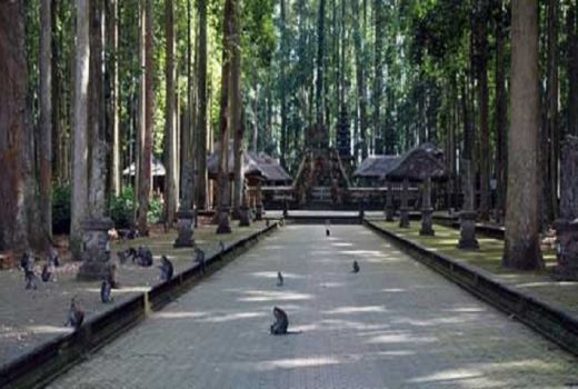 Wah, Monyet Ini Intip Rok Wanita Saat Berkunjung ke Ubud - GenPI.co