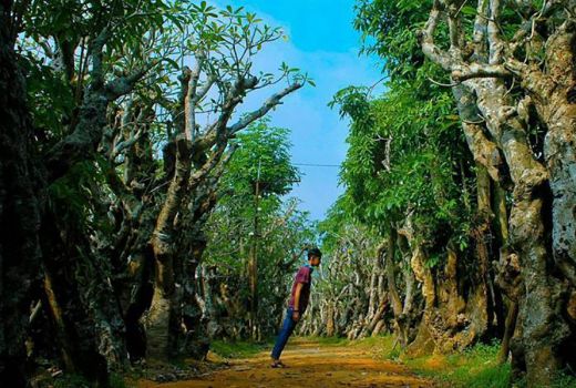Ini Ragam Destinasi Wisata Di Klaten - GenPI.co
