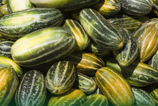 Jelang Ramadhan, Ini Manfaat Buah Blewah yang Menyegarkan - GenPI.co