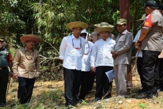 Calon Ibu Kota Baru, Presiden Jokowi Tinjau Kabupaten Gunung Mas - GenPI.co