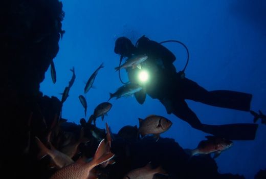 Menyelam Malam Hari, Kamu Wajib Perhatikan Ini Saat Night Dive - GenPI.co