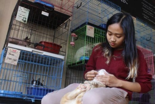 Pemprov DKI Buka Layanan Penitipan Hewan saat Mudik Lebaran - GenPI.co