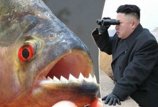 Terduga Makar di Korut, Dilempar ke Ikan Piranha oleh Kim Jong Un - GenPI.co