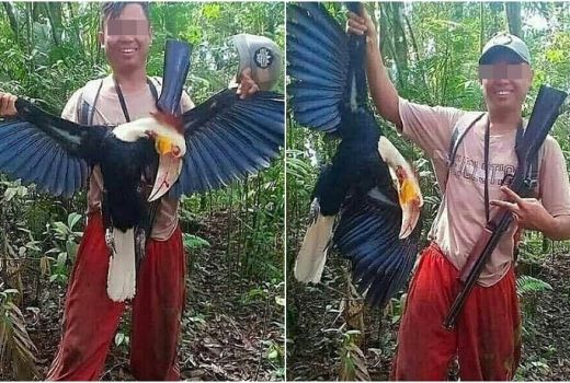 Tim Cyber Polri Selediki Foto Pria Pamer Tembak Burung Rangkong - GenPI.co