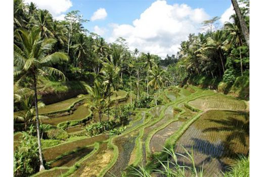 Bali Masuk 10 Besar Destinasi Pengalaman Liburan Terbaik Dunia - GenPI.co