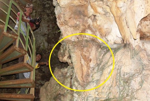 Batu Mirip Kepala Gajah Bikin Heboh Purworejo, Fosil Mammoth? - GenPI.co