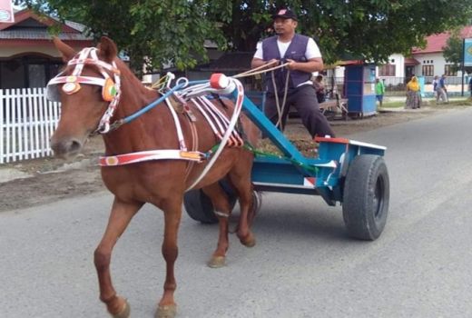 Camat Ini Rela jadi Kusir Gerobak Kuda agar Wilayahnya Asri - GenPI.co