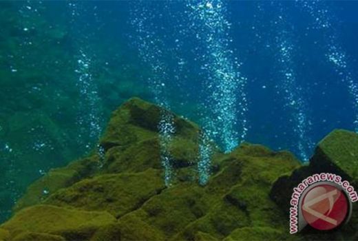BMKG: Gempa Maluku Utara Akibat Deformasi Kerak Bumi - GenPI.co