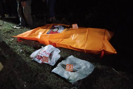 Sapi Ketakutan Merumput di Hutan Randublatung, Ternyata Ada Mayat - GenPI.co