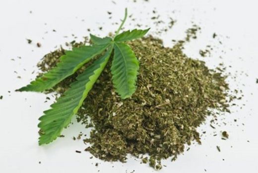 Bawa 169 KG Ganja, Kuli Bangunan ini Diciduk BNNP Jabar - GenPI.co