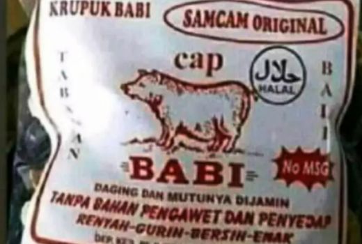 Waduh, Ada Kerupuk Babi dengan Cap Halal MUI! - GenPI.co