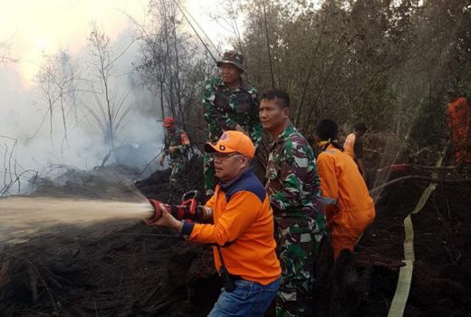 Kebakaran Hutan Melahap 20 Hektare Lahan di PALI Sumsel - GenPI.co